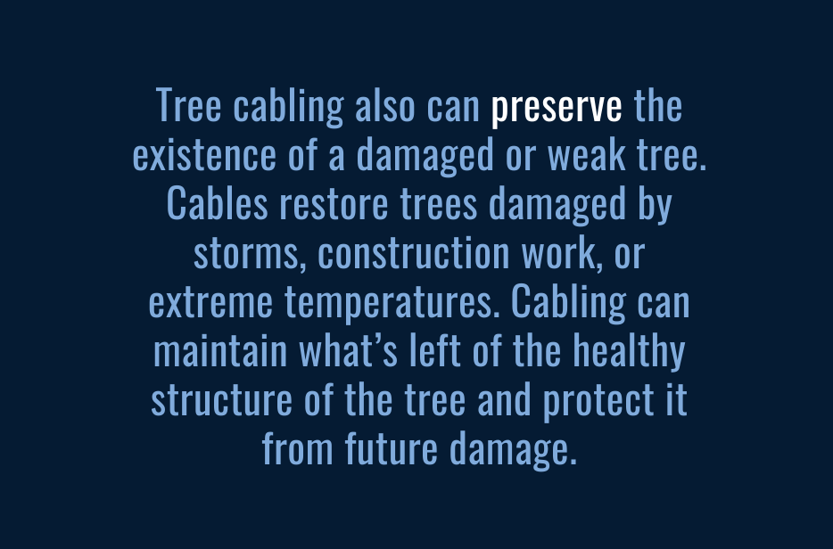 CABLING PRESERVES TREES new
