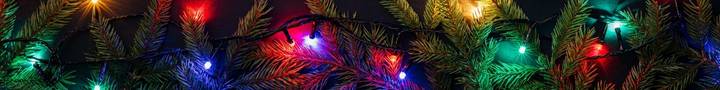 Christmas Tree lights