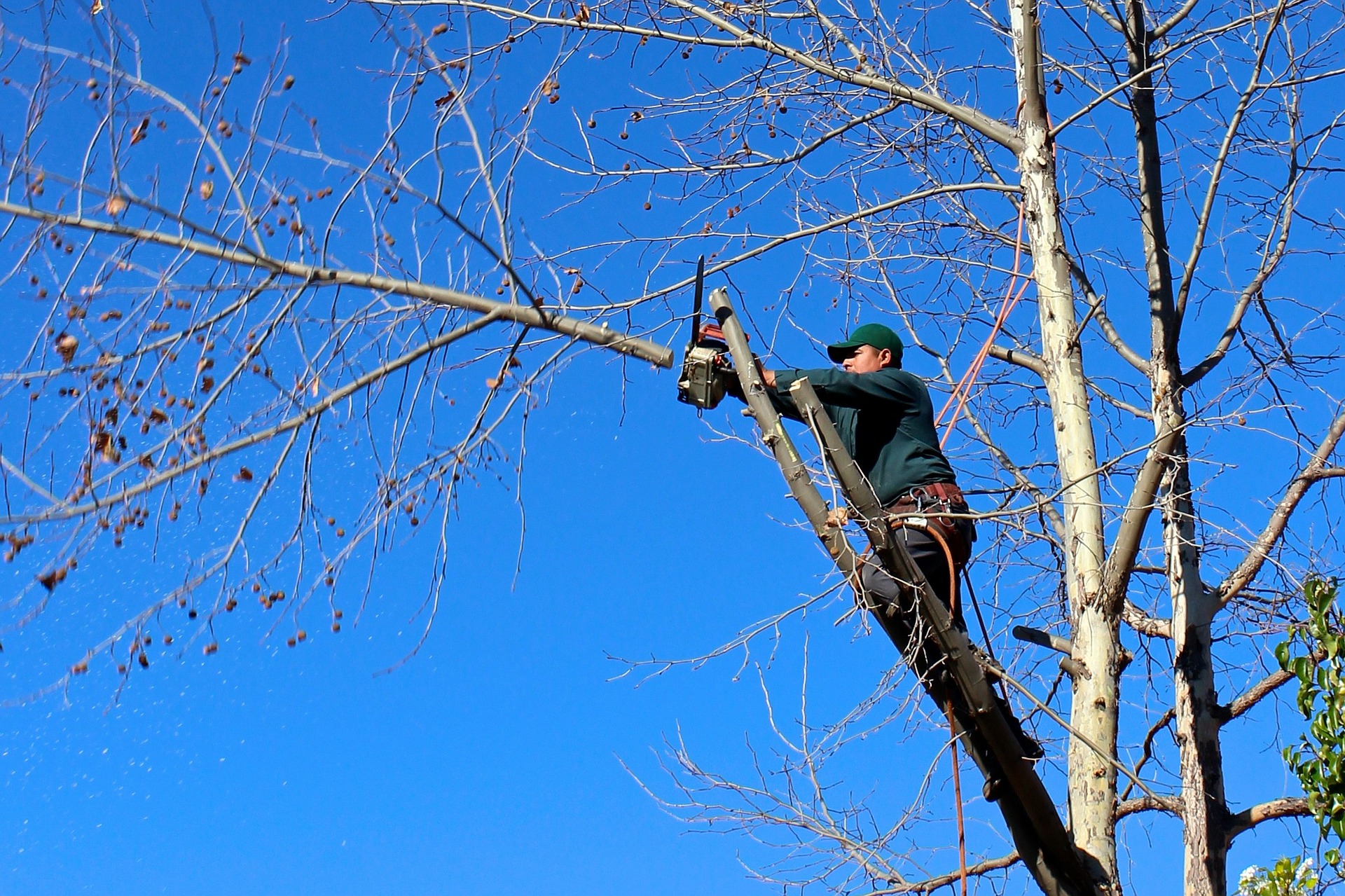 Why is Tree Pruning Important?