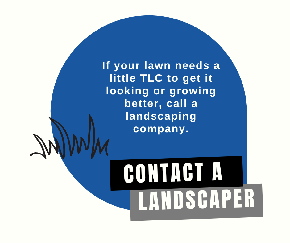 Call a landscaper