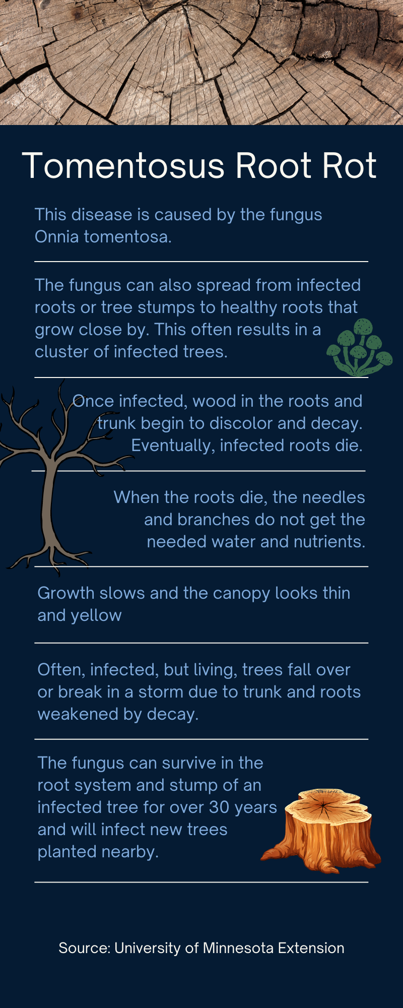 Tomentosus Root Rot