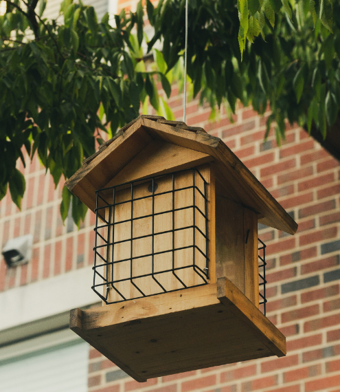 birdhouse2