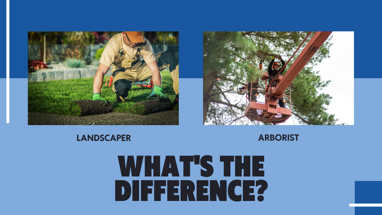 blog landscaper v arborist