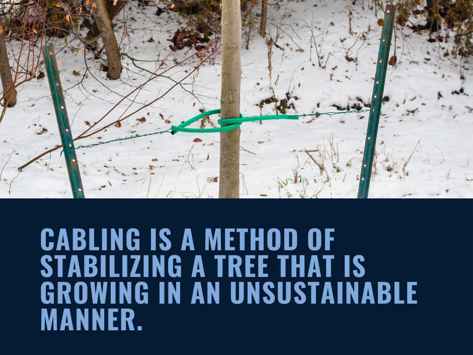 cabling is a method of stabilizng