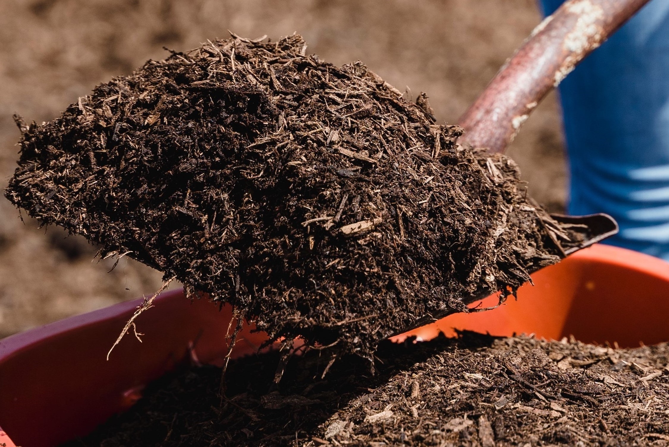 compost in wheelbarrrow