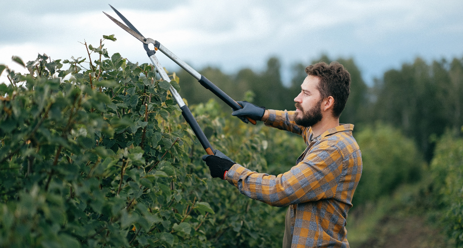 lopping shears